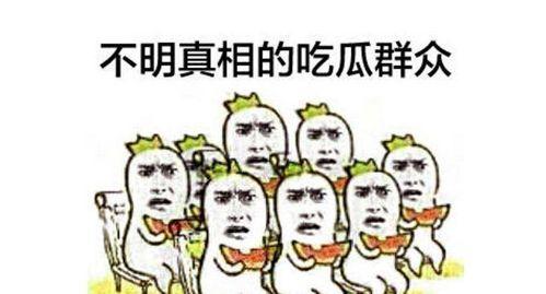 吃瓜群众刘大哥小说,一部现代都市寓言