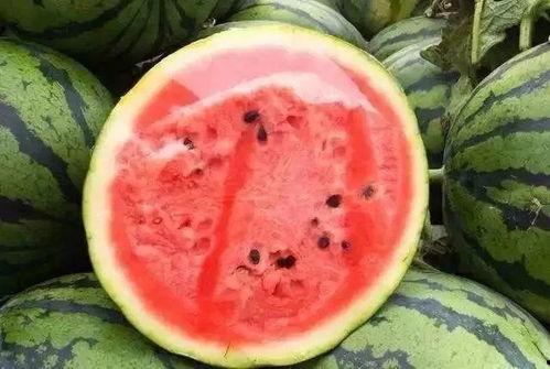 怎么储存苏瓜冬天吃,美味常伴的家常秘籍