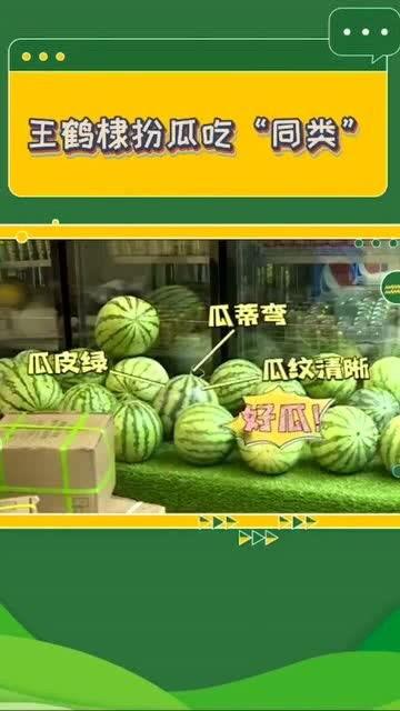 吃瓜办公司,一场职场“瓜田”的趣味观察