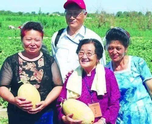 山西吃瓜教授,揭秘山西美食背后的文化故事