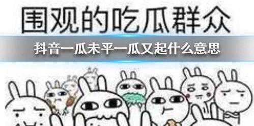 抖音吃瓜地址,一探究竟，带你领略网络热点的背后真相！”