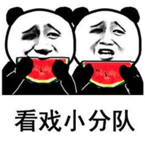 吃瓜吃完表情包,表情包里的欢乐瞬间