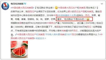 吃瓜销售主管,揭秘瓜市风云，引领销售新潮流