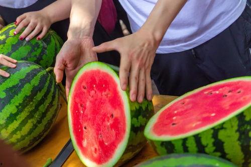 学院吃瓜排行,盘点校园热门话题与风云人物