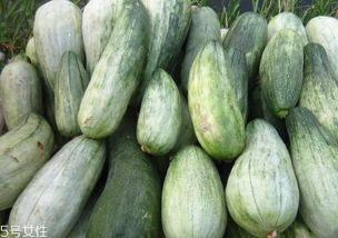 白酥瓜怎么吃,解锁夏日清新美味