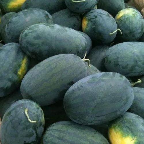 缅北吃瓜去哪,探寻神秘网络世界的热点焦点