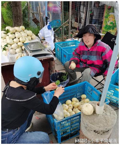 白地市镇吃瓜,夏日炎炎，吃瓜群众欢乐多