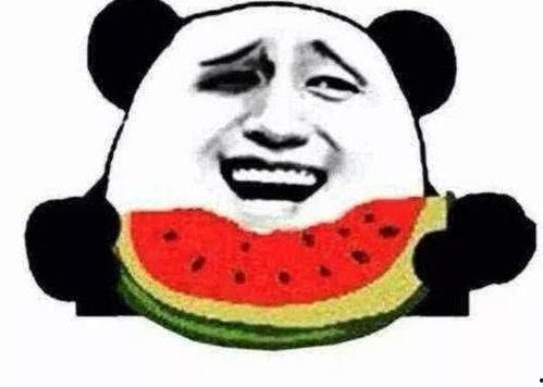 我疯狂吃瓜,揭秘疯狂吃瓜背后的故事与奥秘