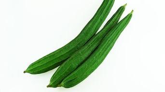 夏天吃两瓜,西瓜与黄瓜，清凉一夏尽享美味