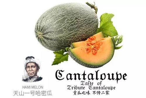 寡人吃瓜,揭秘宫廷中的闲言碎语