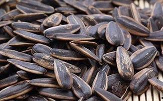 吃瓜能吃瓜子吗,吃瓜也能吃瓜子？揭秘瓜果与瓜子的奇妙关系