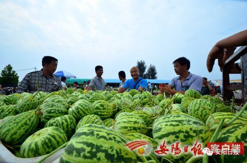 滑县吃瓜,吃瓜也能吃出风味